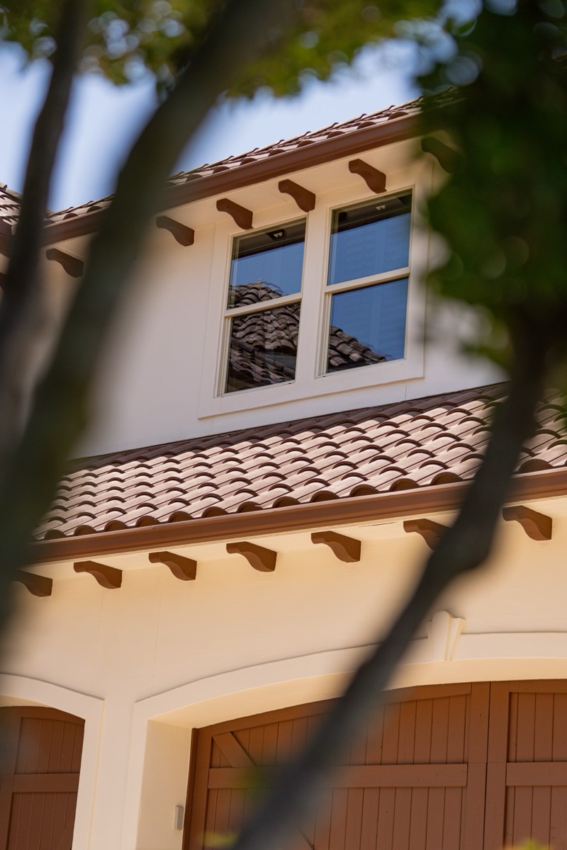 An upper window framed by branches.